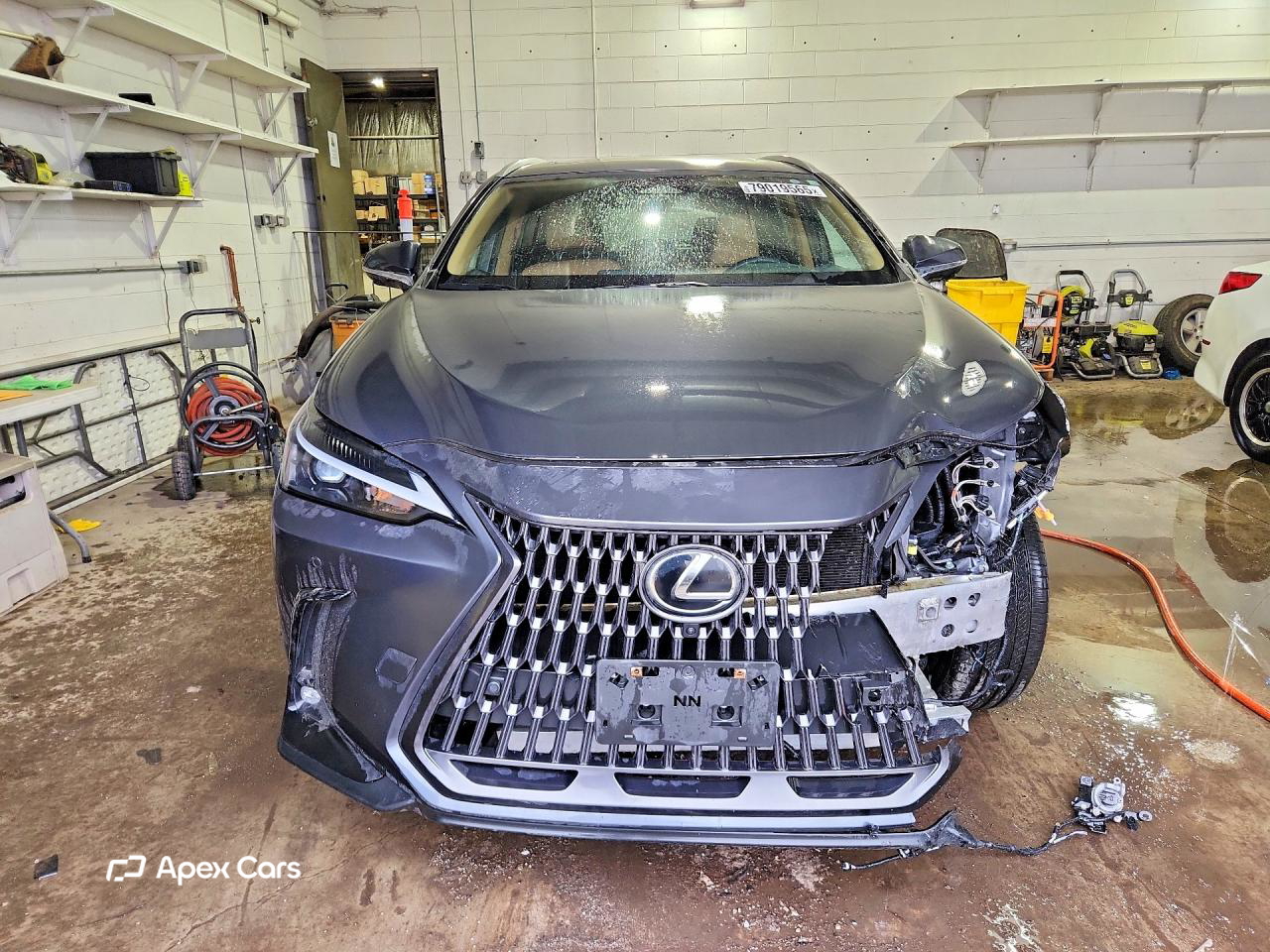 Lexus NX 2025