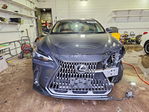 Lexus NX 2025
