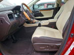 Lexus RX 2019