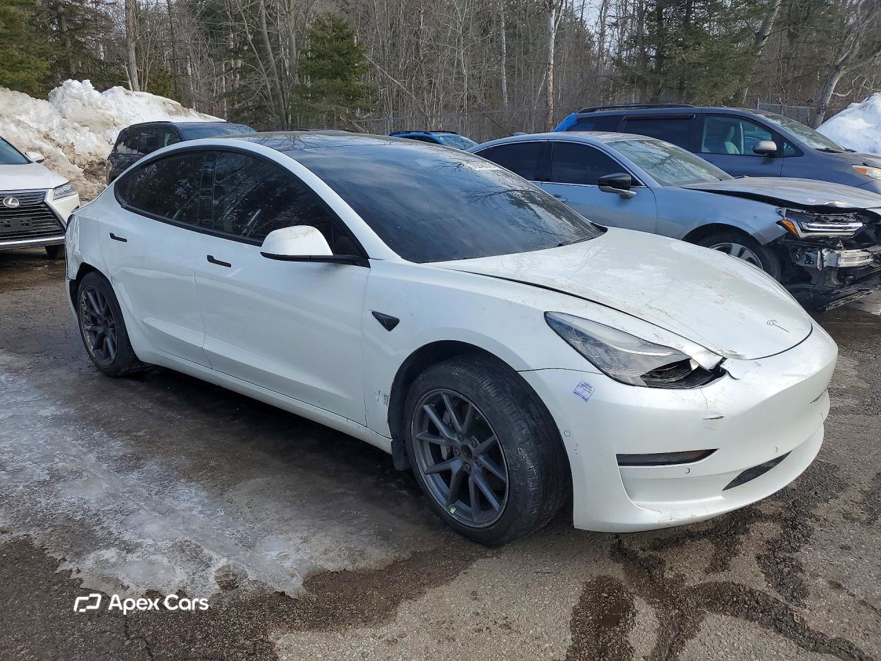 Tesla Model 3 2021