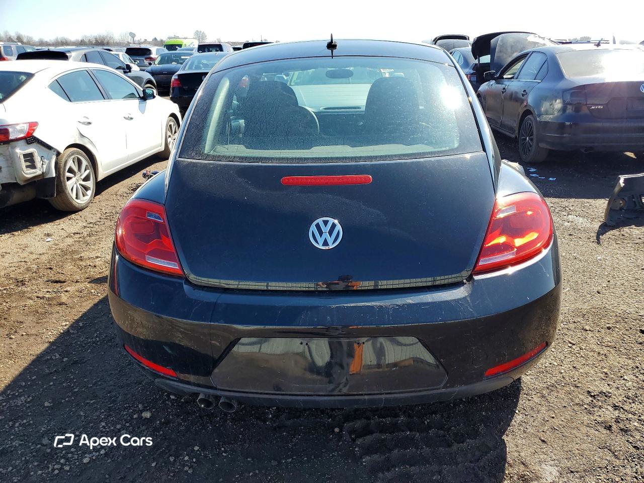 Volkswagen Beetle 2013