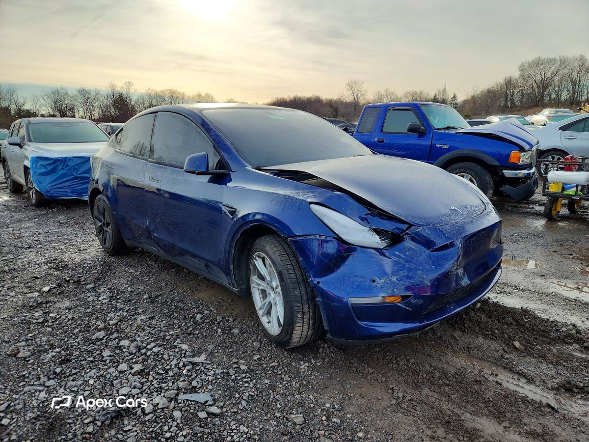 Tesla Model Y 2021