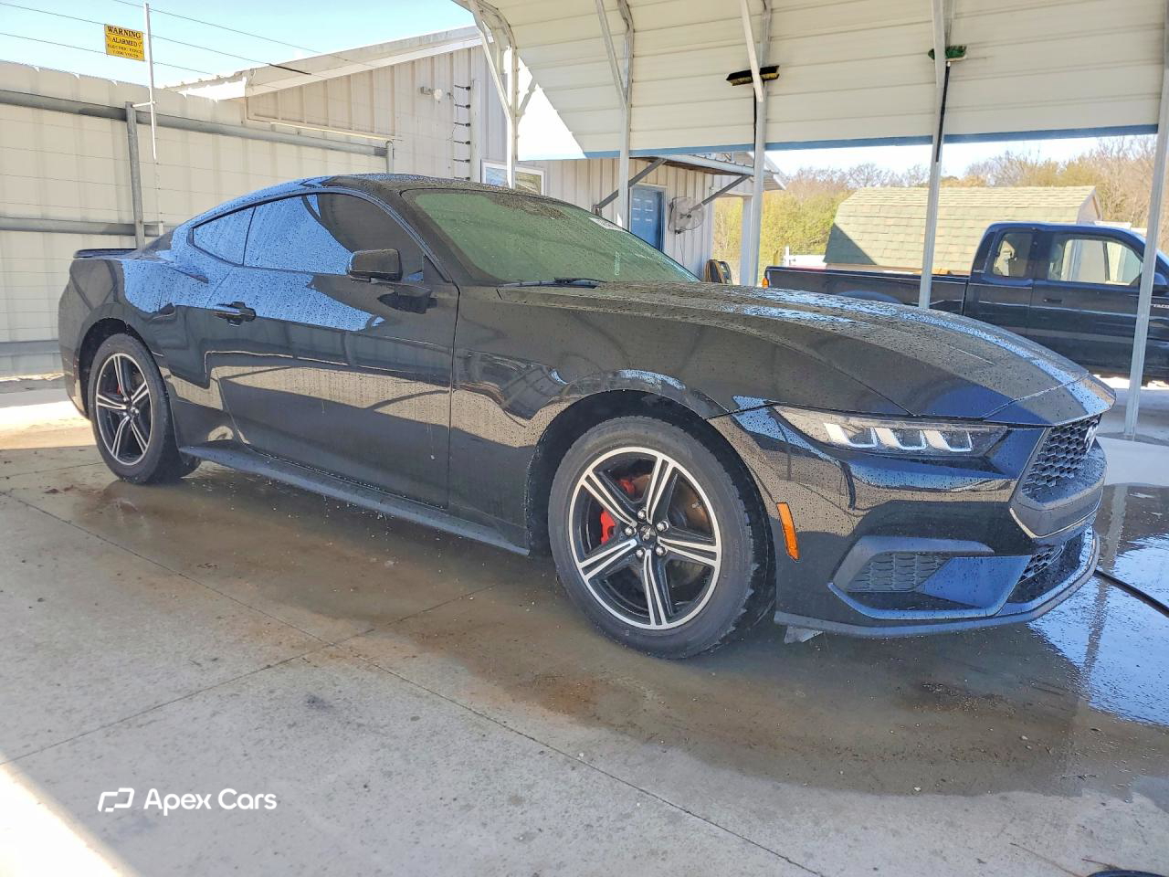 Ford Mustang 2024