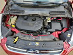 Ford Escape 2013