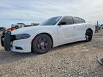 Dodge Charger 2019