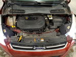 Ford Escape 2014