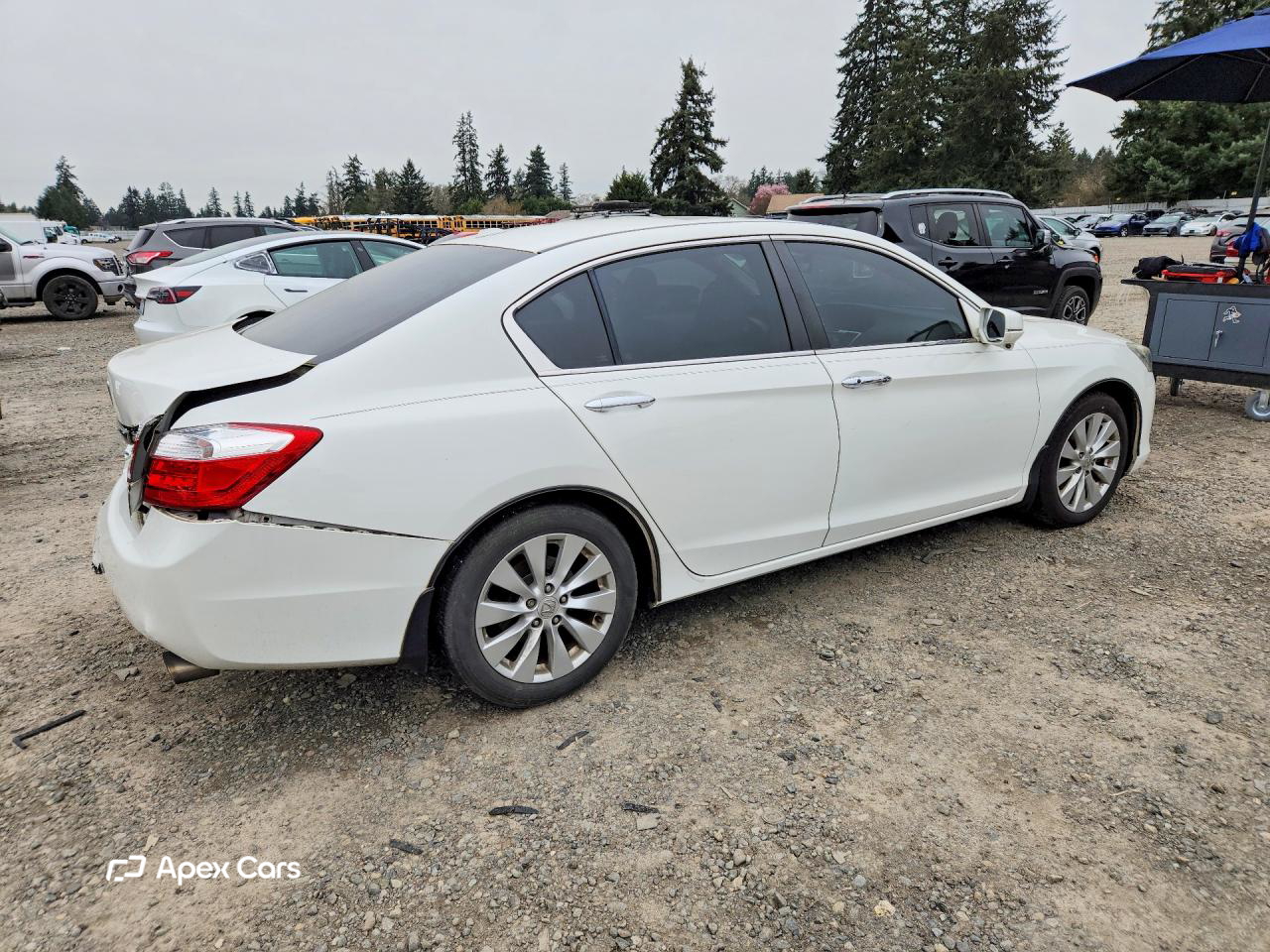 Honda Accord 2013