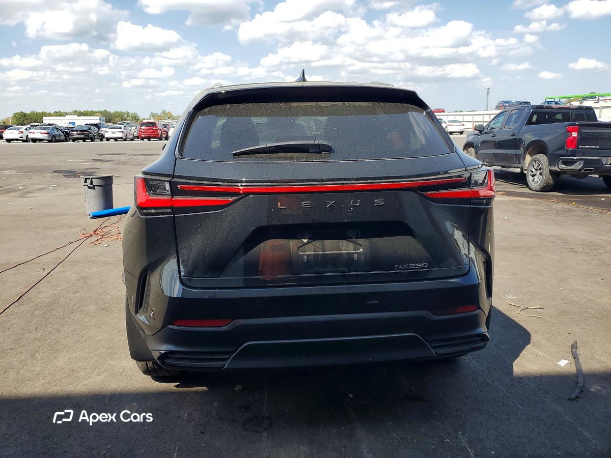 Lexus NX 2022