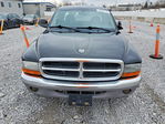 Dodge Dakota 2003