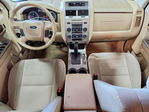 Ford Escape 2010