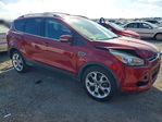 Ford Escape 2013