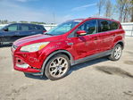 Ford Escape 2014