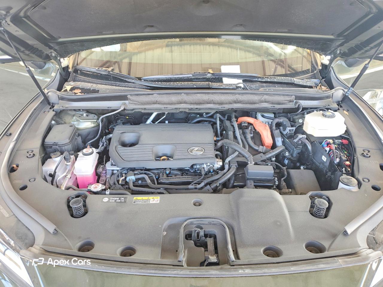 Lexus RX 2024