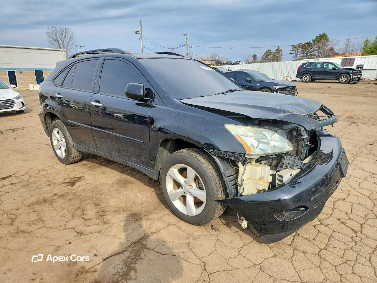 Lexus RX 2009