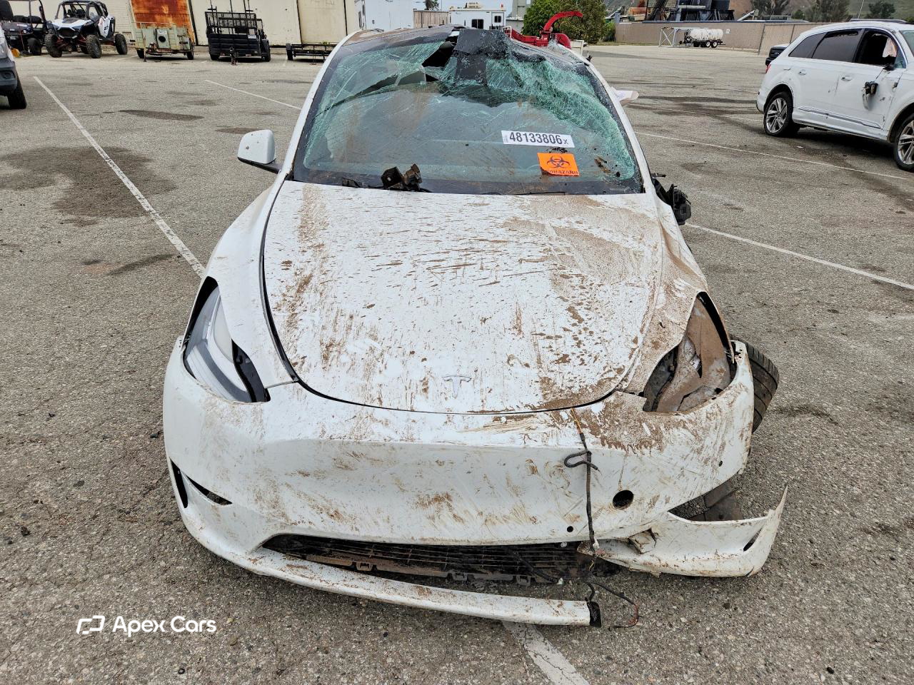 Tesla Model Y 2020