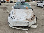 Tesla Model Y 2020