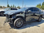 Lexus NX 2024