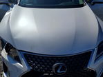 Lexus RX 2021
