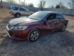 Honda Accord 2013