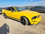 Ford Mustang 2005