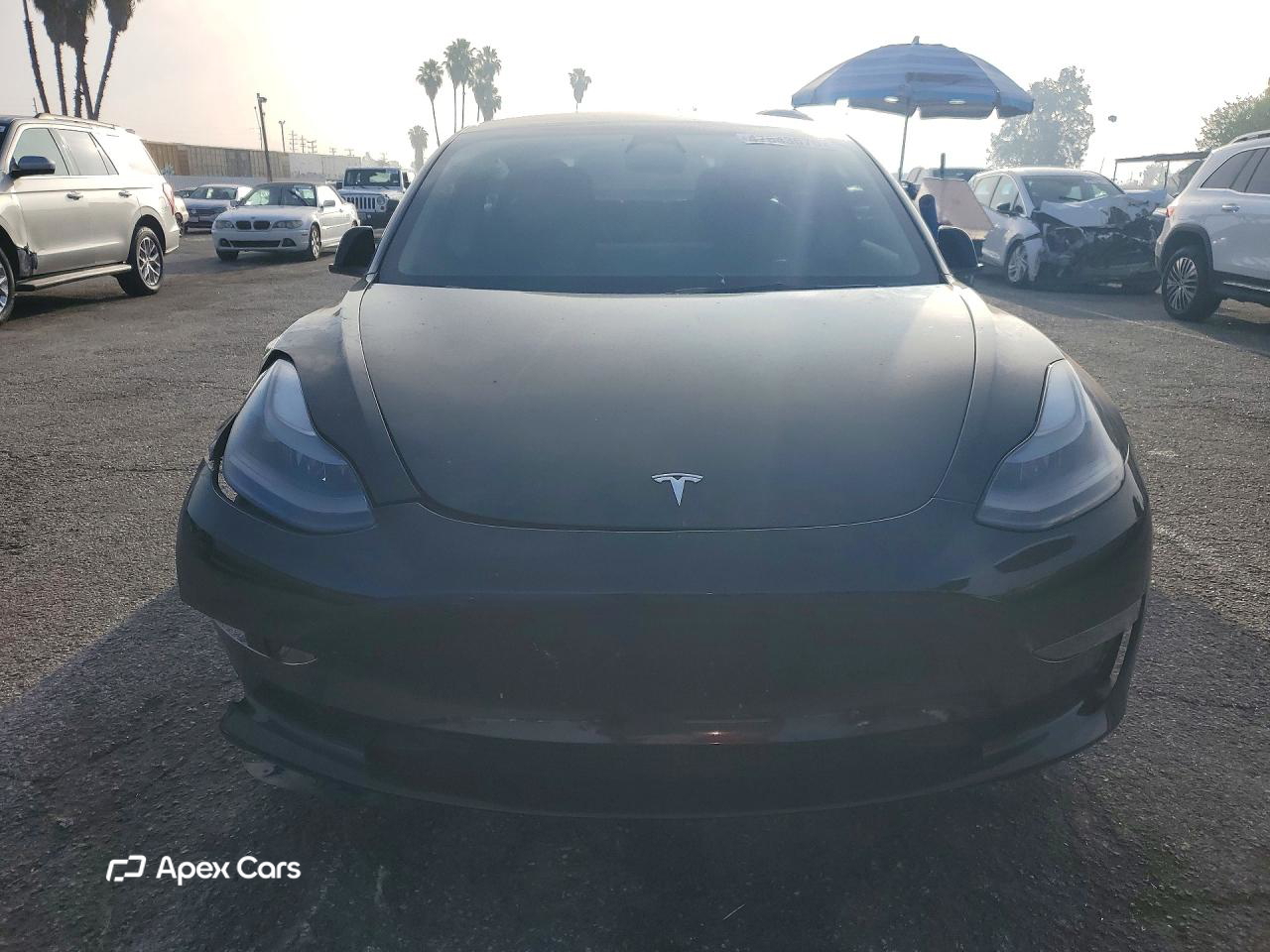 Tesla Model 3 2023