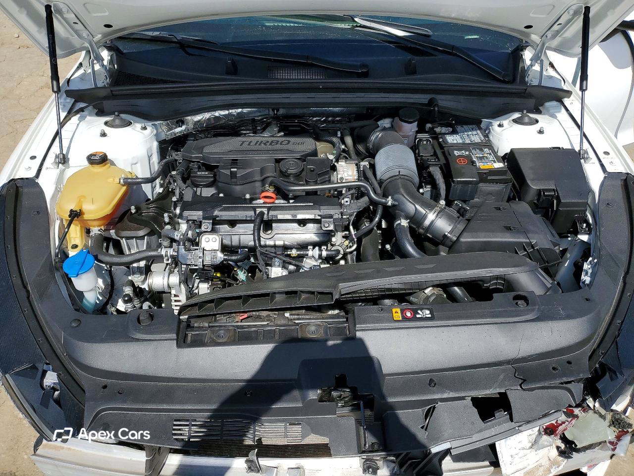Kia K5 2024