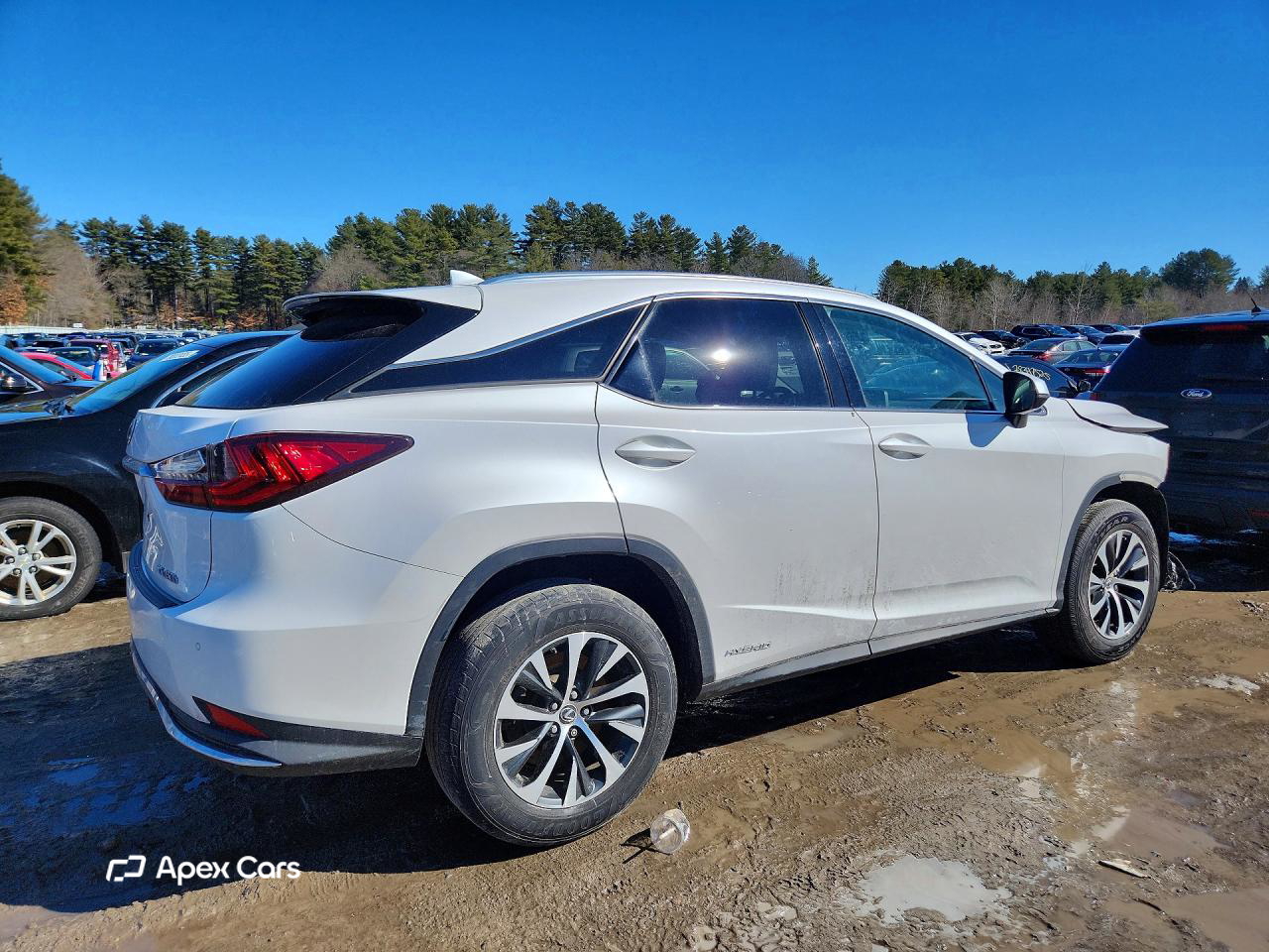 Lexus RX 2020