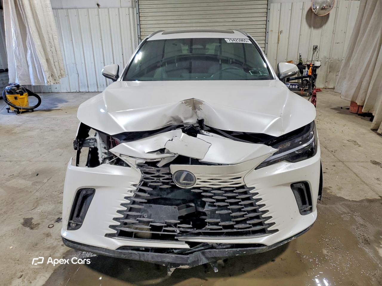 Lexus RX 2025