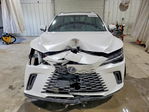 Lexus RX 2025
