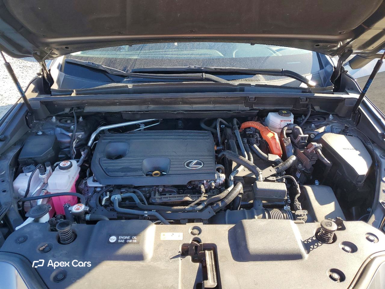 Lexus NX 2024