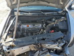 Honda Accord 2010