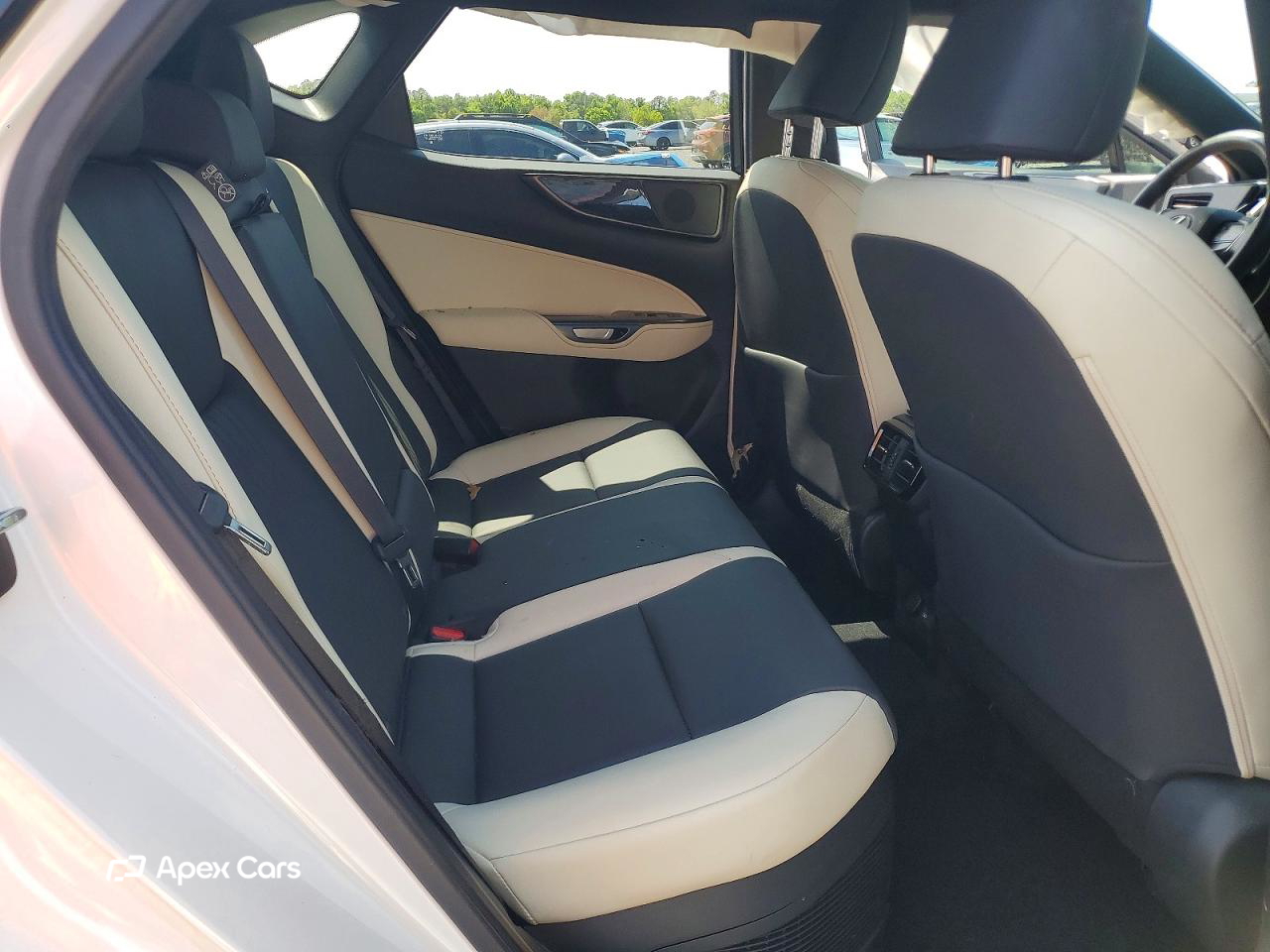 Lexus NX 2024
