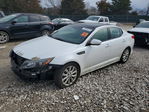 Kia Optima 2014