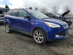 Ford Escape 2016