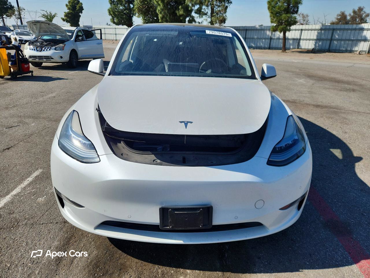 Tesla Model Y 2021