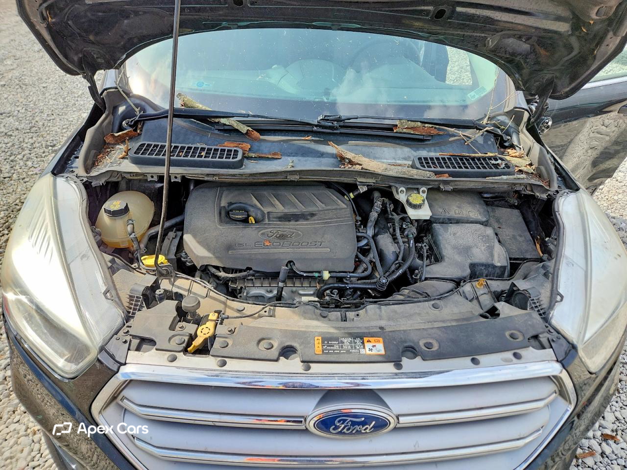 Ford Escape 2017