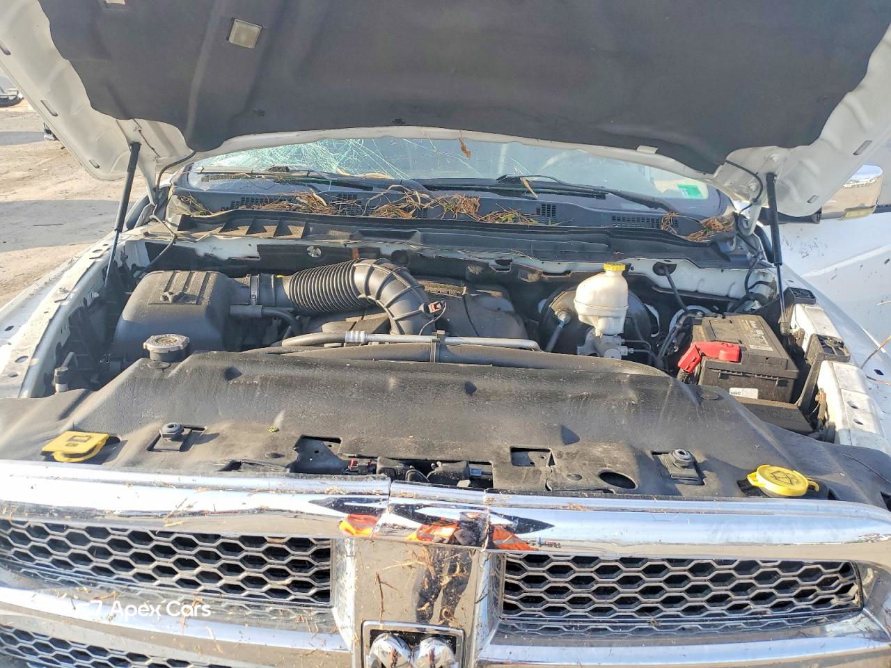 Dodge RAM 2010