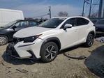 Lexus NX 2020