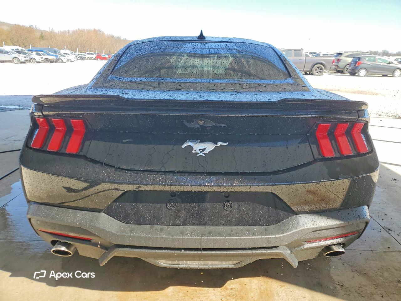 Ford Mustang 2024