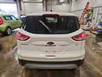 Ford Escape 2015