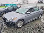 Hyundai  2016