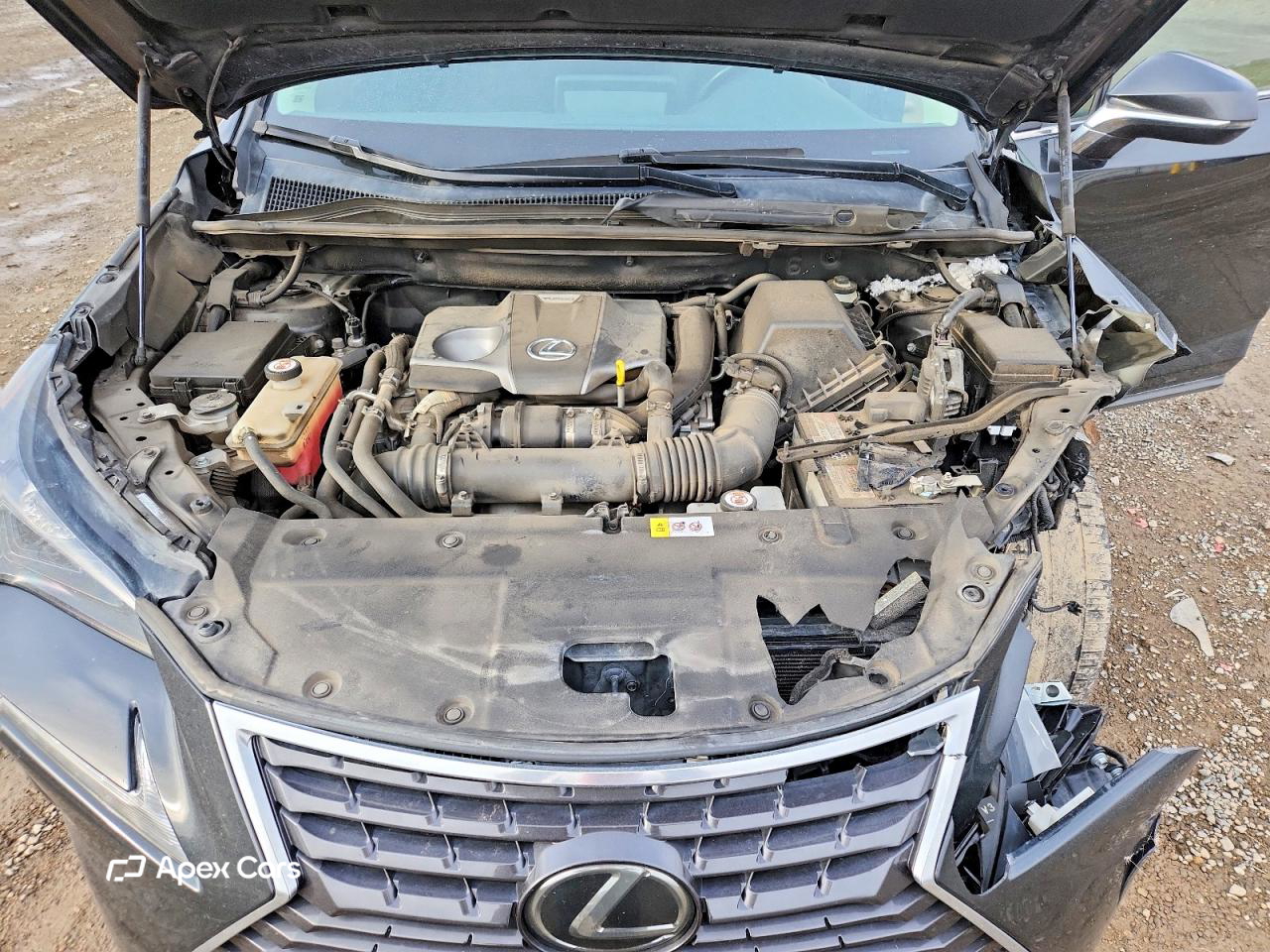 Lexus NX 2018