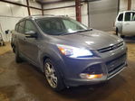 Ford Escape 2013
