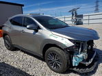 Lexus NX 2024