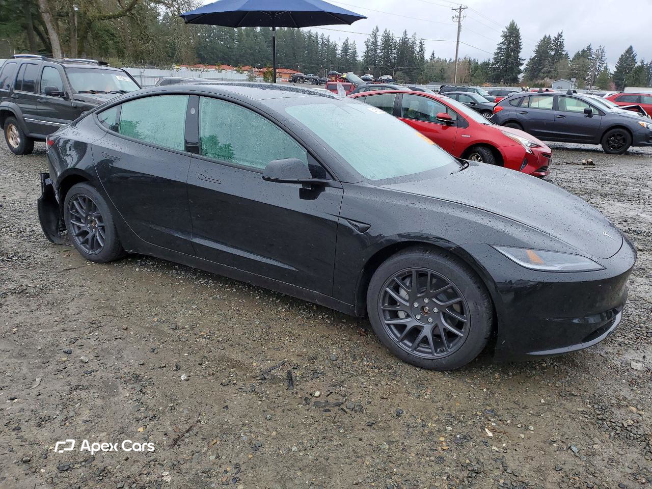 Tesla Model 3 2025
