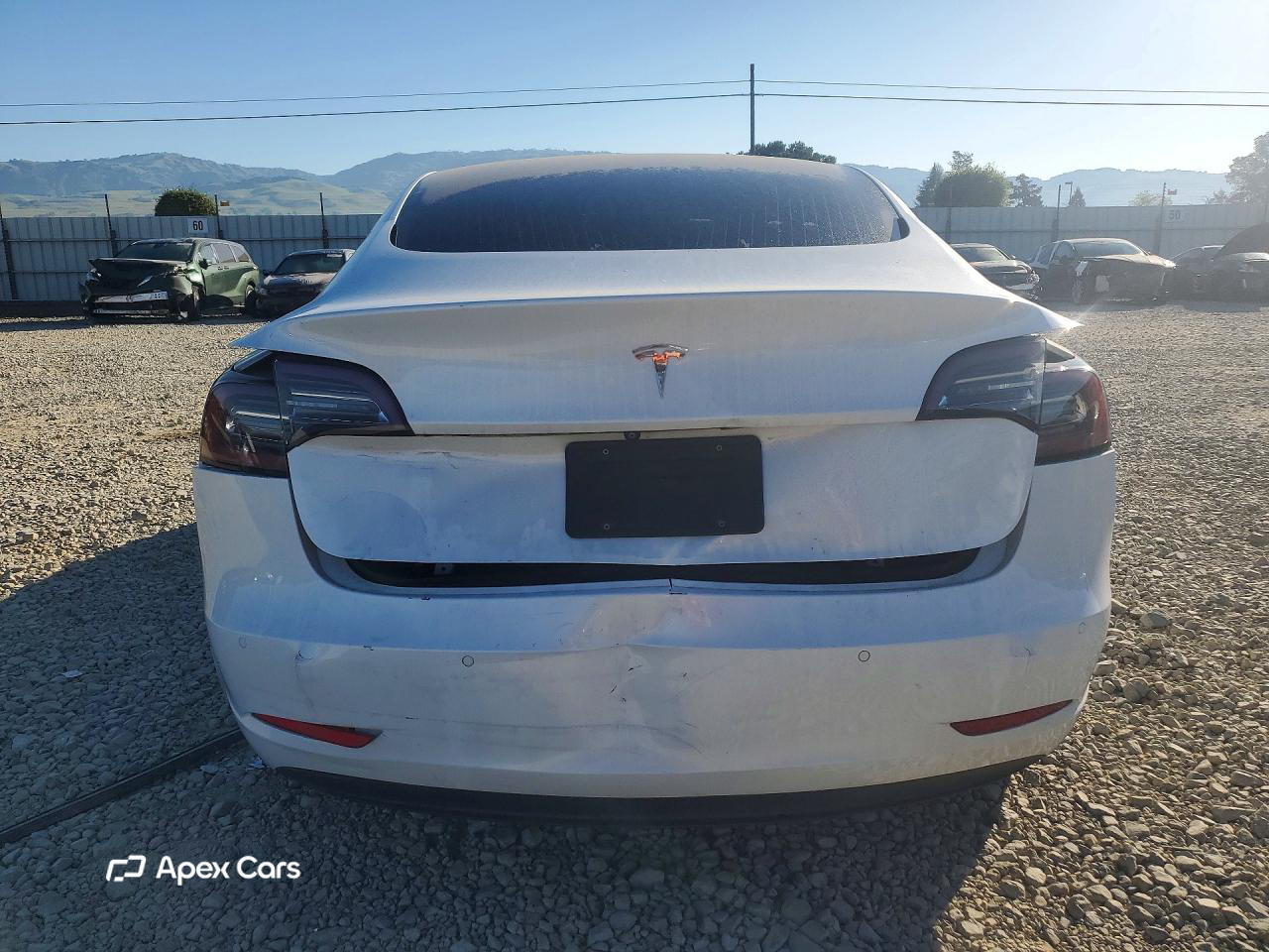 Tesla Model 3 2019