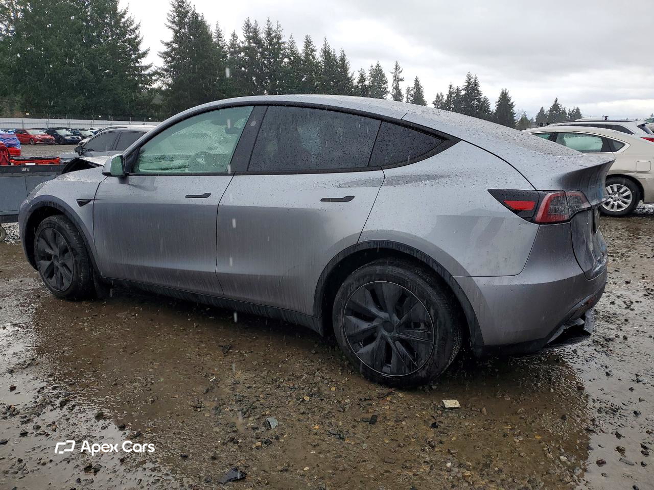 Tesla Model Y 2025