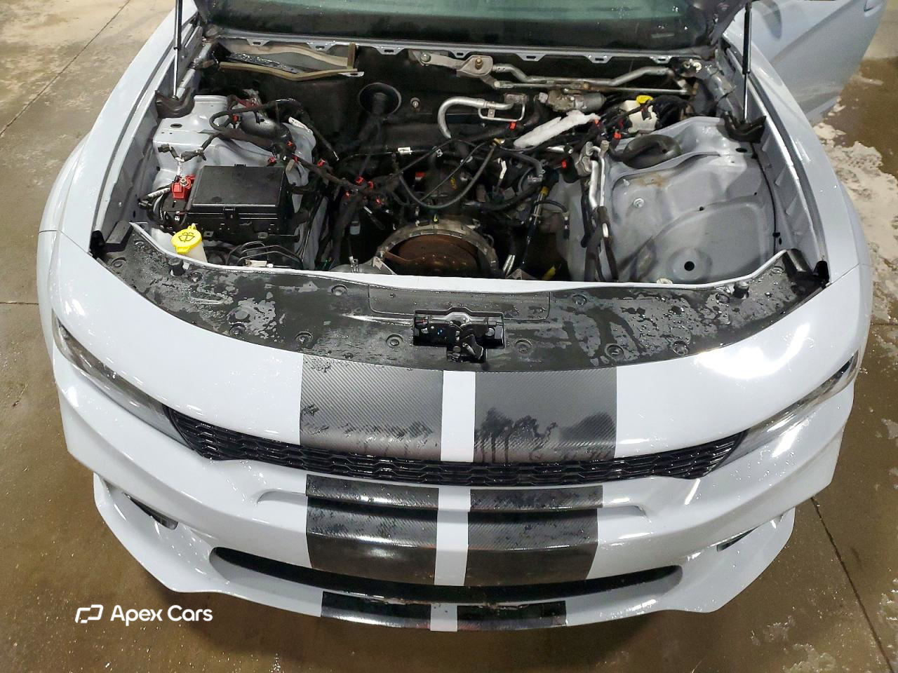 Dodge Charger 2022