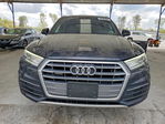 Audi Q5 2019