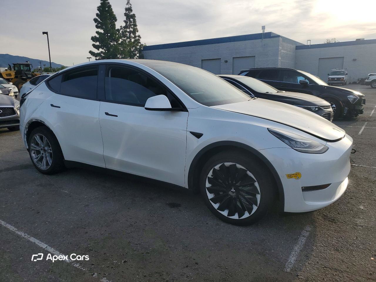 Tesla Model Y 2021